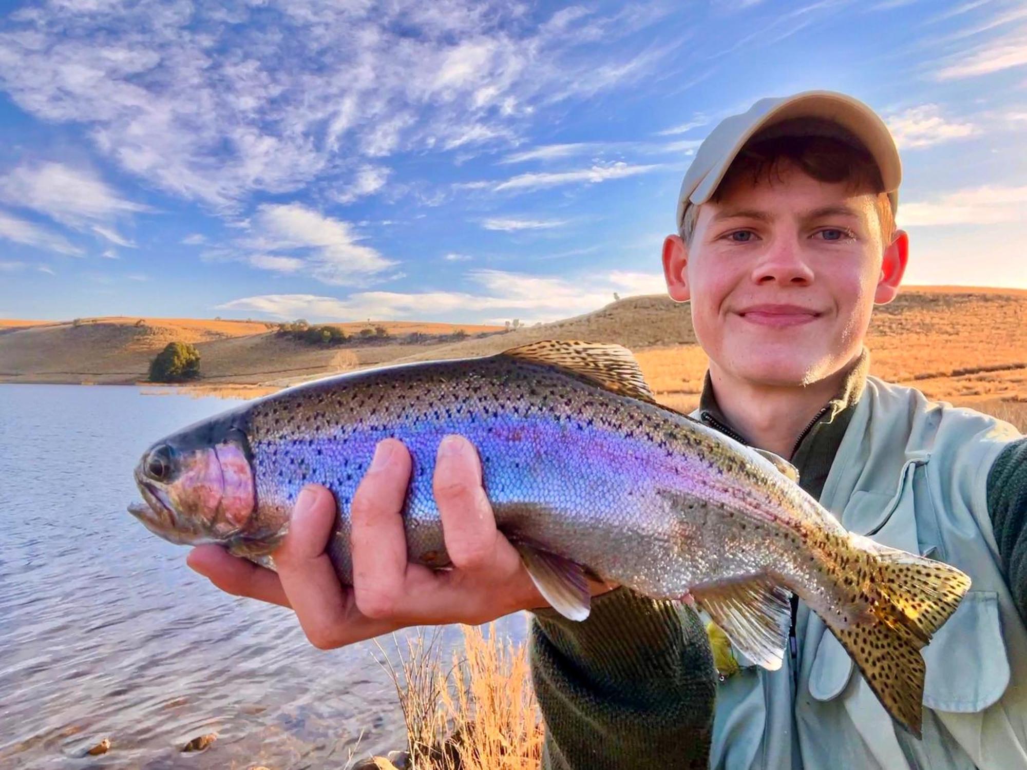 Copperleigh Trout Cottages Dargle Kültér fotó
